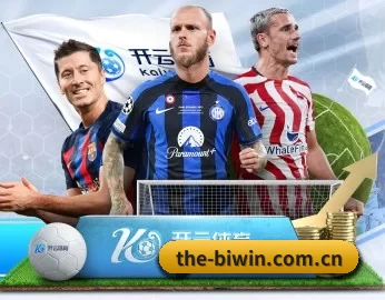 the-biwin.com.cn的故事